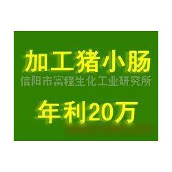 信陽(yáng)市進(jìn)出口代理與動(dòng)漫游戲開(kāi)發(fā) 融合供應(yīng)鏈與創(chuàng)意產(chǎn)業(yè)的商業(yè)機(jī)遇