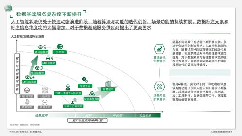 人工智能基礎數據服務白皮書 數據驅動，軟件賦能